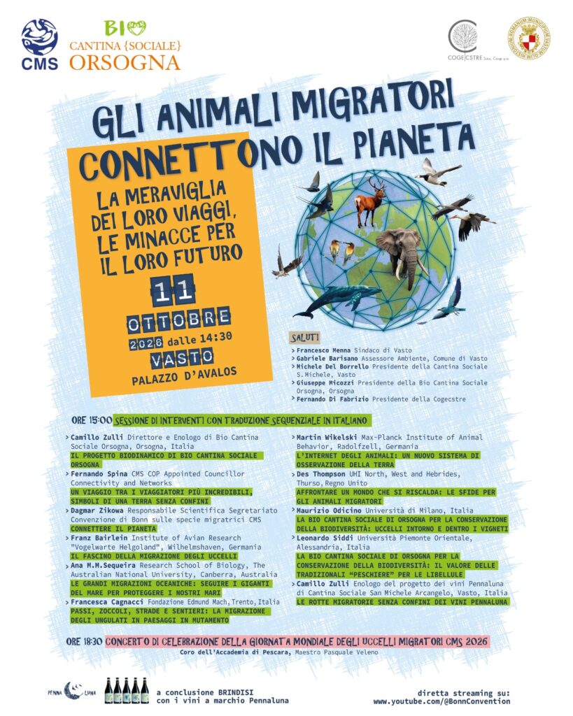 Gli animali migratori connettono il pianeta – evento sulla migrazione animale a Vasto